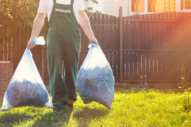 Best Hoarding Cleanup  in International Falls, MN