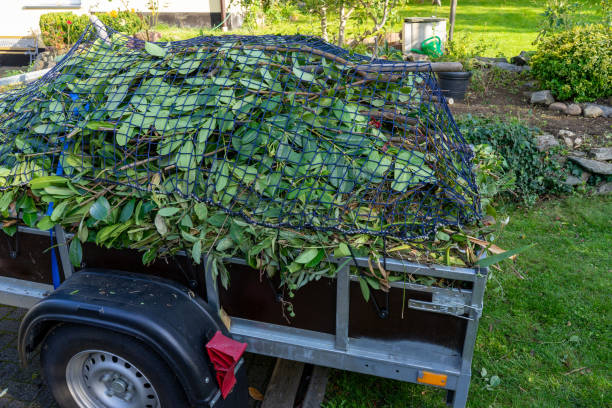 Best Commercial Junk Removal  in International Falls, MN